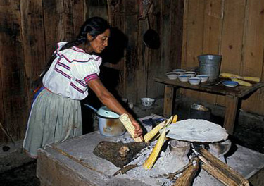 Tojolabal Maya speaker from Las Margaritas, Chiapas, Mexico